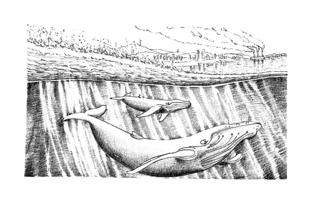Oceans: José Euzébio Costa Silveira