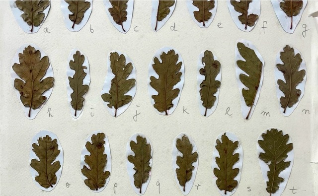 Foreign Languages: Homages to the Misunderstood: Brigitte Potter-Mael